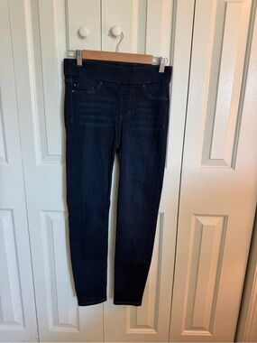 Liverpool Jeans Company Skinny Jeans in Dark Blue